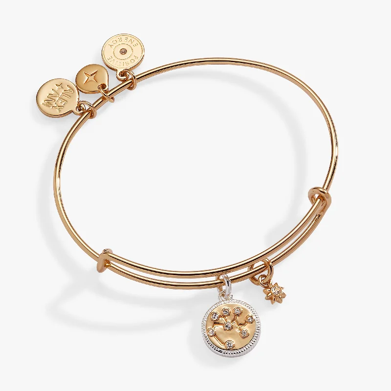 Sagittarius Zodiac Charm Bangle